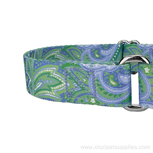 Best Selling Sublimation Printing Martingale Dog Collar